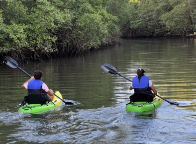 isla canas panama kayaks mangroves manglares Isla Cañas is a Turtle and Mangrove Refuge