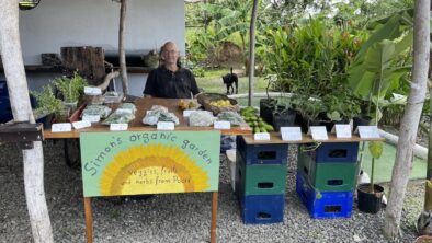 fresh friday market pedasi panama coucou crazy fresh produce Fresh Friday Market in Pedasi at CouCou Crazy