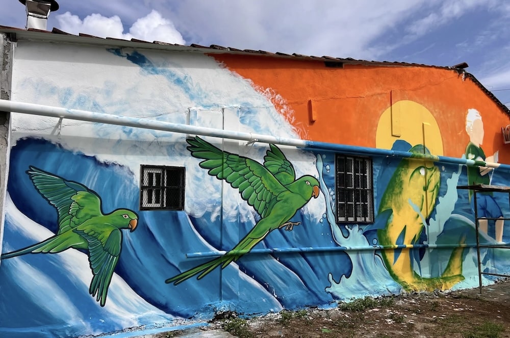 ruta de murales murals pedasi colorido arte mareas de pedasi sharito moreno shar Pedasi Mural Route: a way to Explore the Town