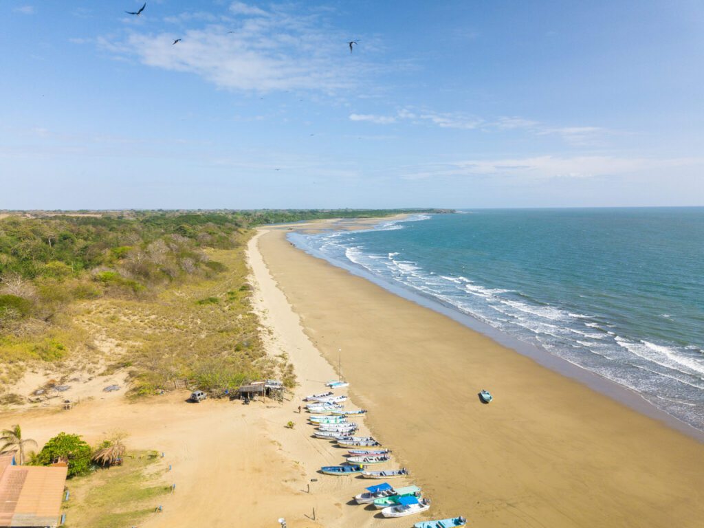 Stirn.Matt .PWB refugio pablo barrios pedasi panama playa arenal Refugio Pablo Barrios, Diversos Ecosistemas Costeros y Marinos Stirn.Matt .PWB refugio pablo barrios pedasi panama playa arenal Refugio Pablo Barrios, Diversos Ecosistemas Costeros y Marinos