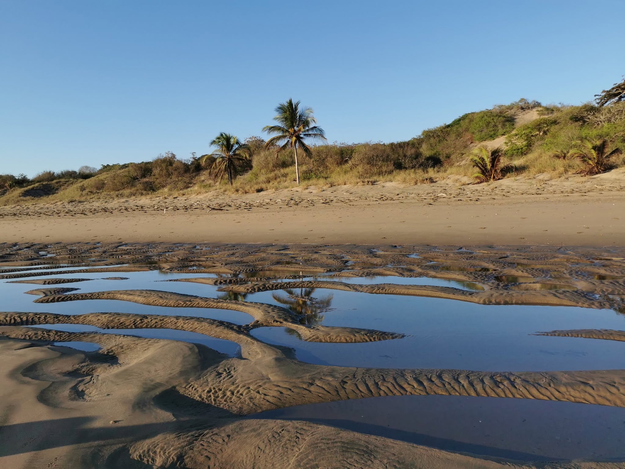 pablo barrios pedasi panama sand dunes water dunas agua Caminata de Conservación en el Refugio Pablo Barrios Caminata de Conservación en el Refugio Pablo Barrios