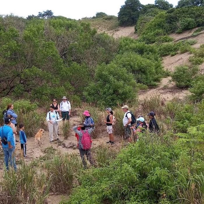 pablo barrios pedasi panama vegetacion dunas dunes tour group Caminata de Conservación en el Refugio Pablo Barrios Caminata de Conservación en el Refugio Pablo Barrios - Imagen 7