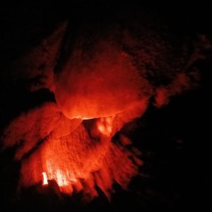 Turtle Nesting Experience (Cambutal)